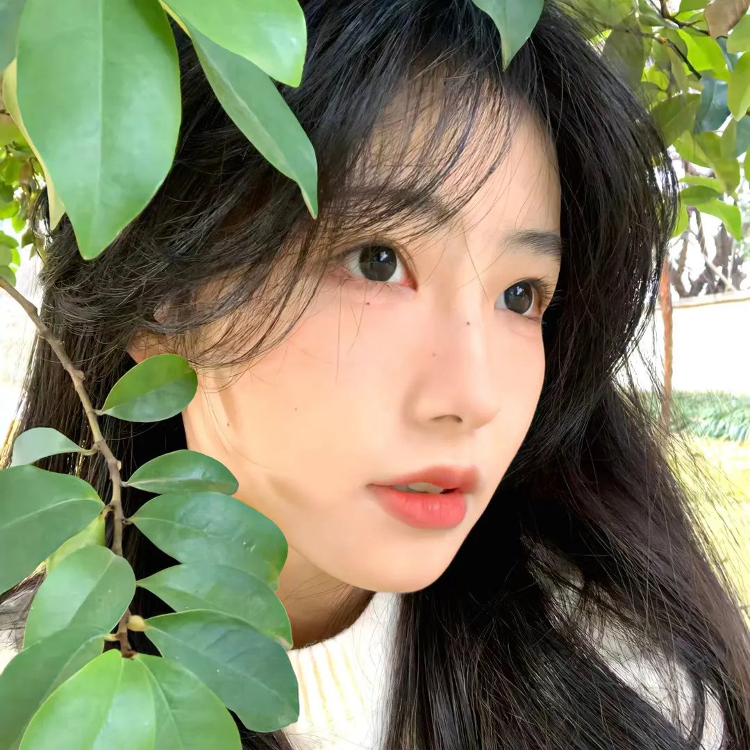 毛驴县令之宛如格格
